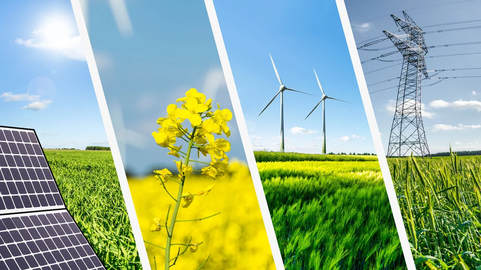 Erneuerbare-Energien